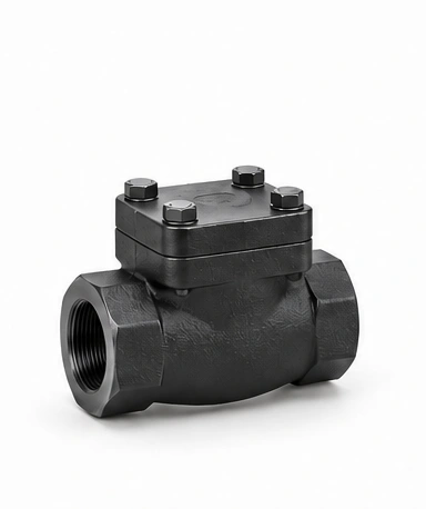 Forged Check Valve — Protected Forged Steel